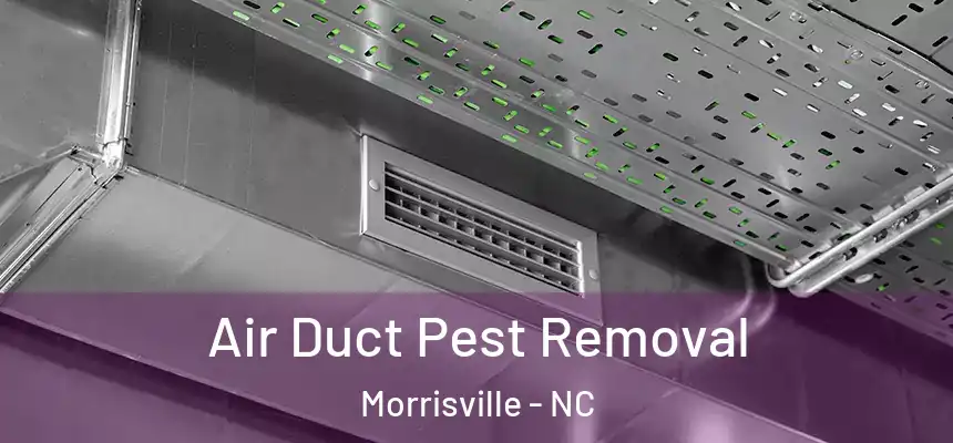  Air Duct Pest Removal Morrisville - NC