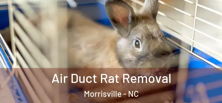  Air Duct Rat Removal Morrisville - NC