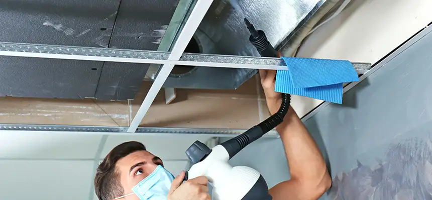 Our Air Duct Rodent Removal Services in Morrisville, NC