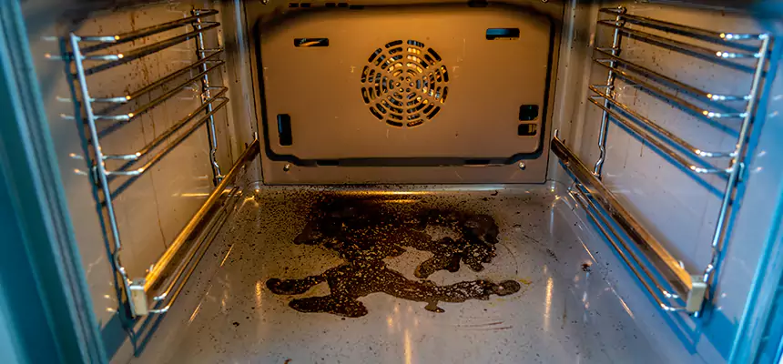 Our Dryer Vent Mold Cleaning Services in Morrisville, NC