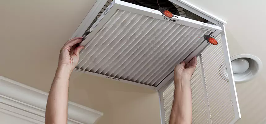 Our Insect Removal from Air Ducts Services in Morrisville, NC