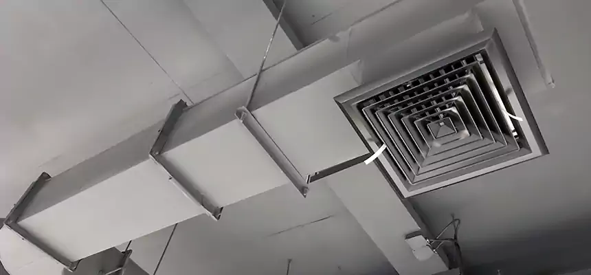 Our Pest Removal From Ducts Services in Morrisville, NC