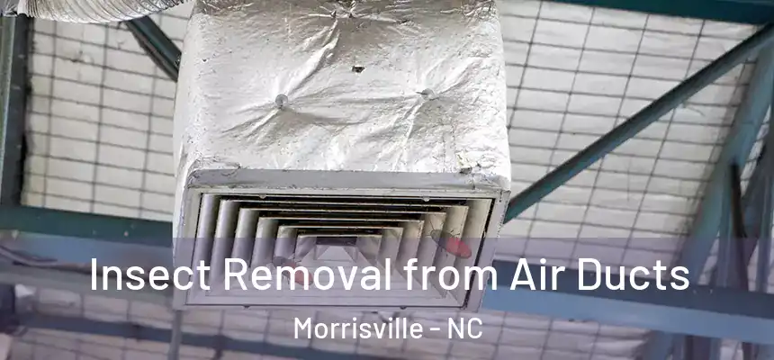  Insect Removal from Air Ducts Morrisville - NC