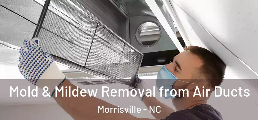  Mold & Mildew Removal from Air Ducts Morrisville - NC