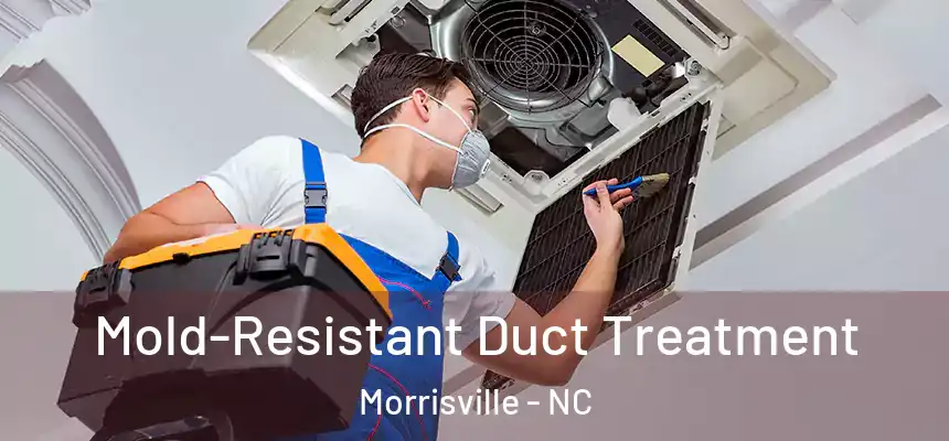  Mold-Resistant Duct Treatment Morrisville - NC