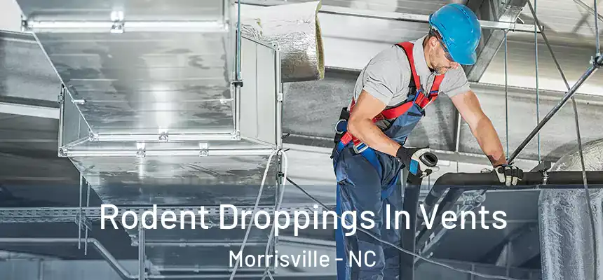  Rodent Droppings In Vents Morrisville - NC