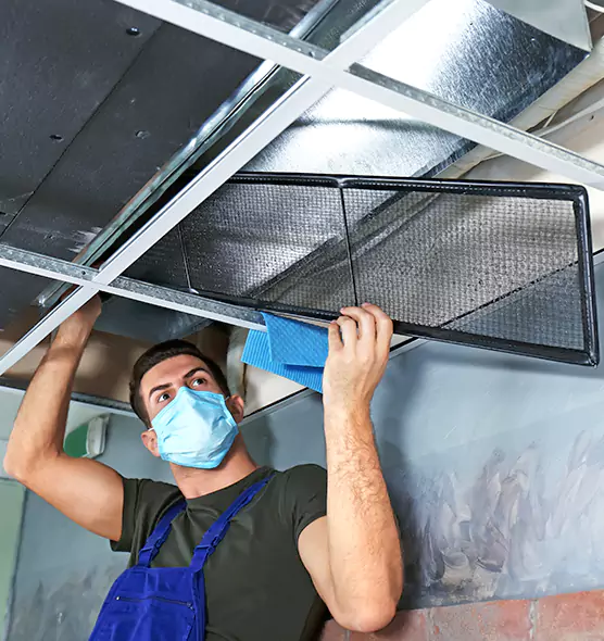 About Air Duct Bacteria Removal in Morrisville