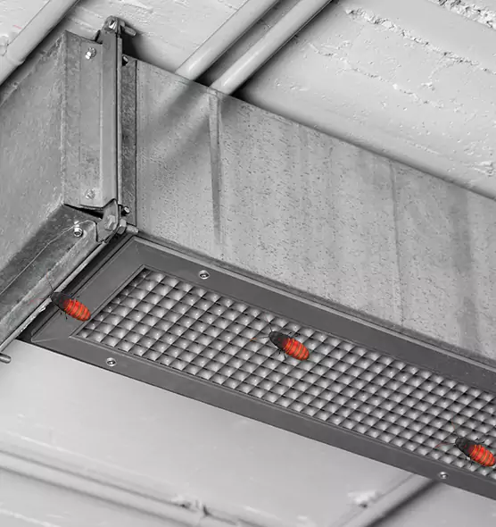 About Air Duct Cockroach Removal in Morrisville, NC