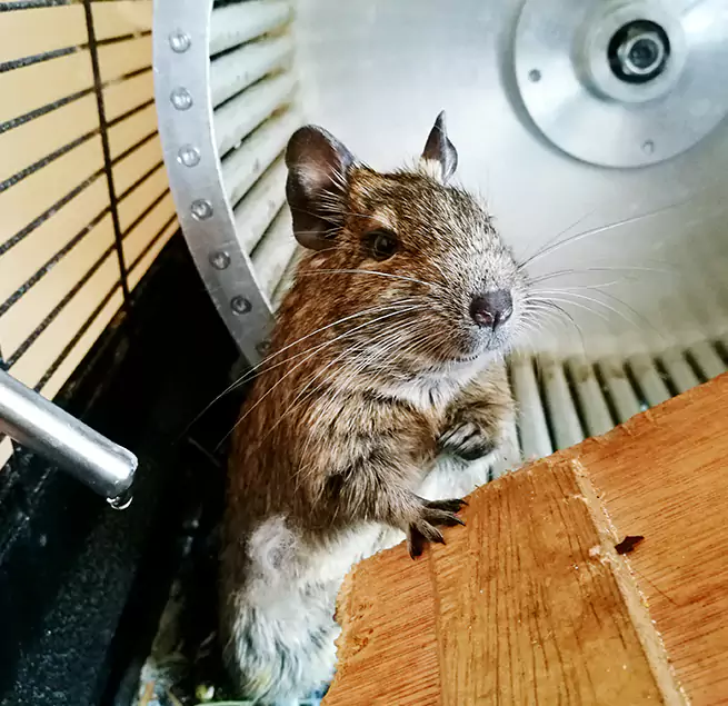 Why Homeowners & Businesses Trust Us Morrisville, NC?