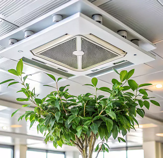 Why Homeowners & Businesses Trust Us in Morrisville, NC?