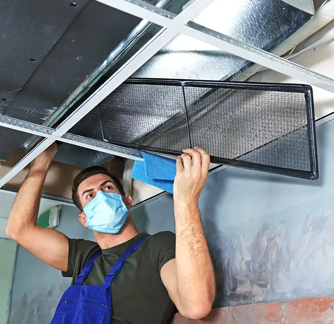 Why Homeowners & Businesses Trust Us in Morrisville, NC?