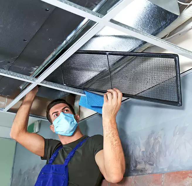 Why Homeowners Businesses Trust Us in Morrisville, NC